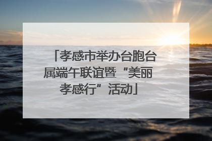 孝感市举办台胞台属端午联谊暨“美丽孝感行”活动