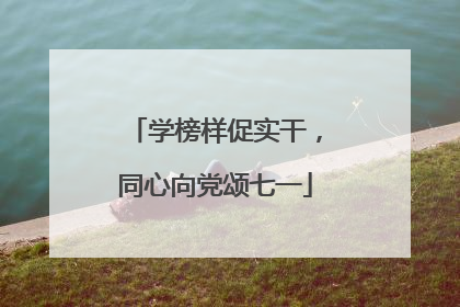 学榜样促实干，同心向党颂七一