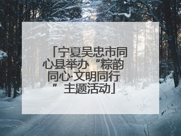 宁夏吴忠市同心县举办“粽韵同心·文明同行”主题活动