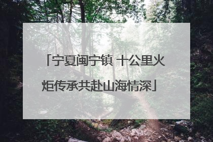 宁夏闽宁镇 十公里火炬传承共赴山海情深