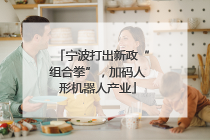 宁波打出新政“组合拳”，加码人形机器人产业