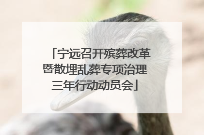 宁远召开殡葬改革暨散埋乱葬专项治理三年行动动员会
