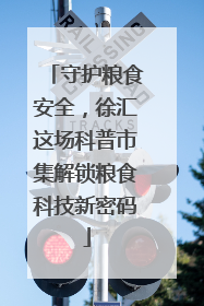 守护粮食安全，徐汇这场科普市集解锁粮食科技新密码