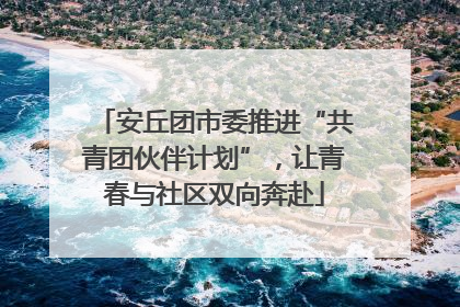 安丘团市委推进“共青团伙伴计划”，让青春与社区双向奔赴