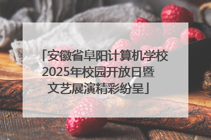 安徽省阜阳计算机学校2025年校园开放日暨文艺展演精彩纷呈