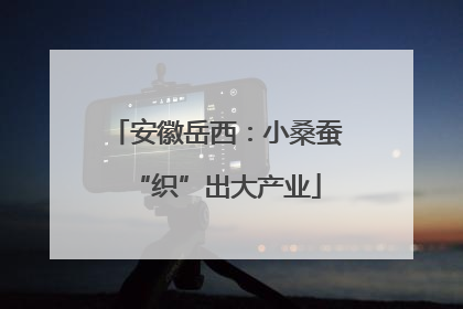安徽岳西：小桑蚕“织”出大产业