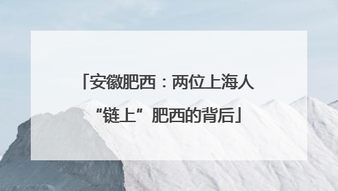 安徽肥西：两位上海人“链上”肥西的背后