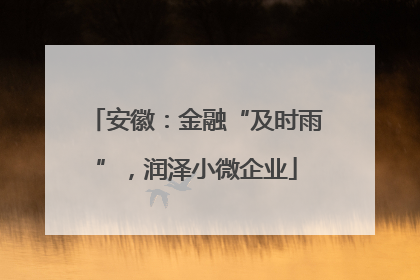 安徽：金融“及时雨”，润泽小微企业