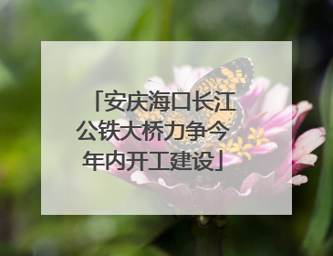 安庆海口长江公铁大桥力争今年内开工建设
