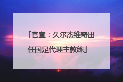 官宣：久尔杰维奇出任国足代理主教练