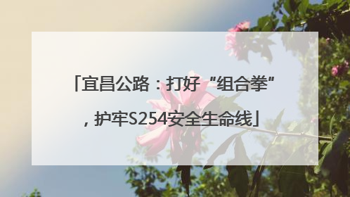 宜昌公路：打好“组合拳”，护牢S254安全生命线