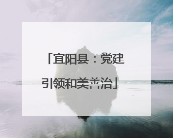 宜阳县：党建引领和美善治