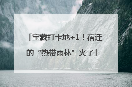 宝藏打卡地+1！宿迁的“热带雨林”火了