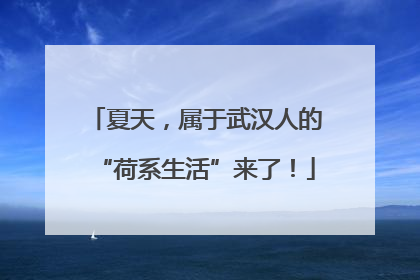夏天，属于武汉人的“荷系生活”来了！