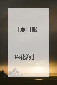 夏日紫色花海