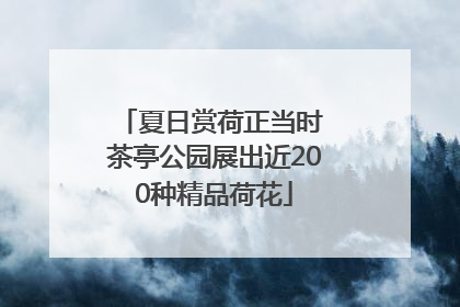 夏日赏荷正当时 茶亭公园展出近200种精品荷花
