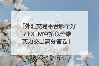 外汇交易平台哪个好？FXTM富拓以全维实力交出高分答卷