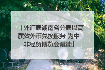 外汇局湖南省分局以高质效外币兑换服务 为中非经贸博览会赋能