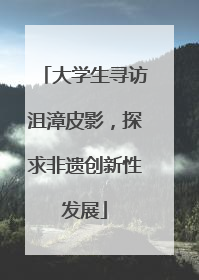 大学生寻访沮漳皮影，探求非遗创新性发展