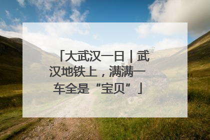 大武汉一日｜武汉地铁上，满满一车全是“宝贝”