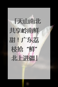 天山南北共享岭南鲜甜！广东荔枝抢“鲜”北上进疆