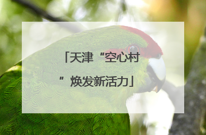 天津“空心村”焕发新活力