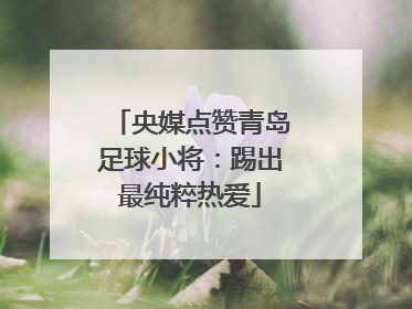 央媒点赞青岛足球小将：踢出最纯粹热爱