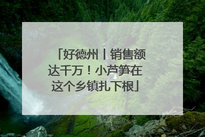 好德州丨销售额达千万！小芦笋在这个乡镇扎下根