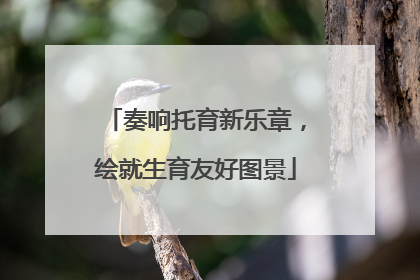 奏响托育新乐章，绘就生育友好图景