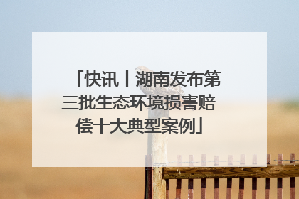 快讯丨湖南发布第三批生态环境损害赔偿十大典型案例