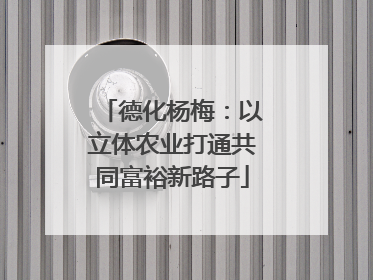 德化杨梅：以立体农业打通共同富裕新路子