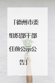 德州市委组织部干部任前公示公告