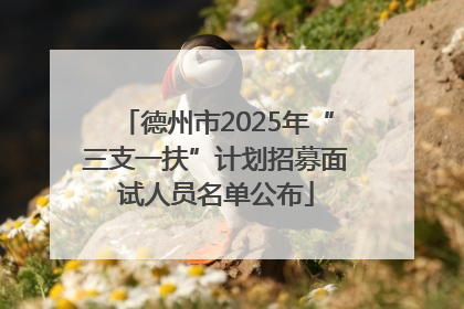 德州市2025年“三支一扶”计划招募面试人员名单公布