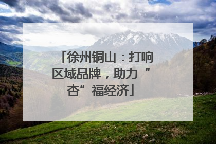 徐州铜山：打响区域品牌，助力“杏”福经济