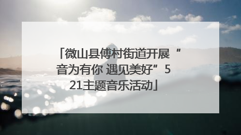 微山县傅村街道开展“音为有你 遇见美好”521主题音乐活动