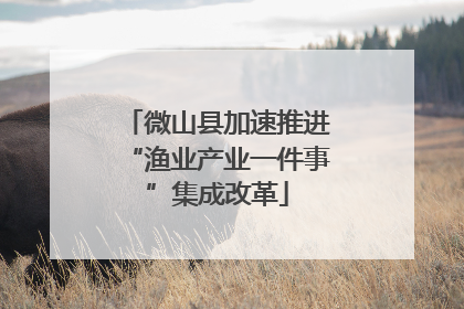 微山县加速推进“渔业产业一件事”集成改革