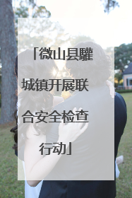 微山县驩城镇开展联合安全检查行动