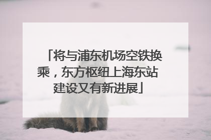 将与浦东机场空铁换乘，东方枢纽上海东站建设又有新进展