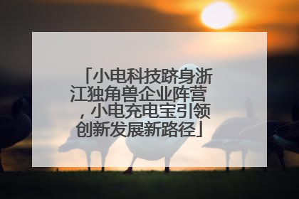 小电科技跻身浙江独角兽企业阵营，小电充电宝引领创新发展新路径