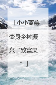 小小蓝莓变身乡村振兴“致富果”