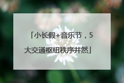 小长假+音乐节，5大交通枢纽秩序井然