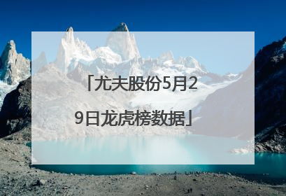尤夫股份5月29日龙虎榜数据