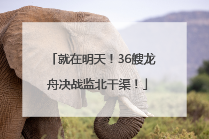 就在明天！36艘龙舟决战监北干渠！