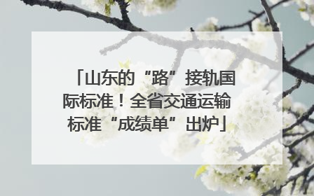 山东的“路”接轨国际标准！全省交通运输标准“成绩单”出炉