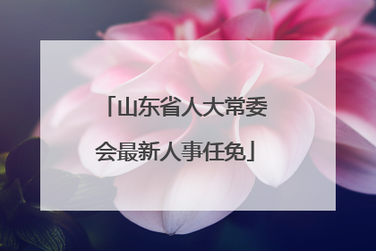 山东省人大常委会最新人事任免