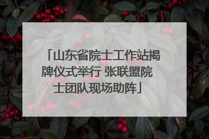 山东省院士工作站揭牌仪式举行 张联盟院士团队现场助阵