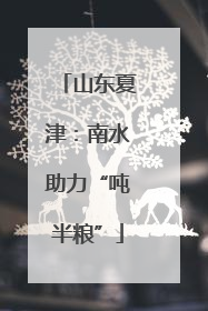 山东夏津：南水助力“吨半粮”