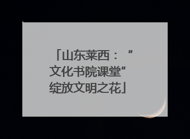 山东莱西：“文化书院课堂”绽放文明之花