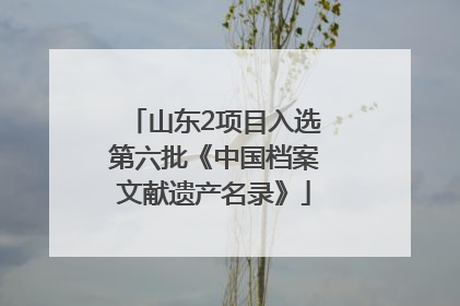 山东2项目入选第六批《中国档案文献遗产名录》