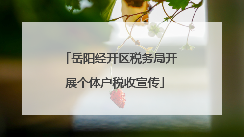 岳阳经开区税务局开展个体户税收宣传